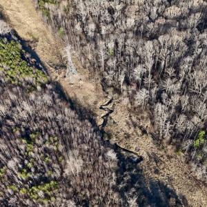 Photo #30 of SOLD property in Off Purcell rd , Reidsville, NC 143.5 acres