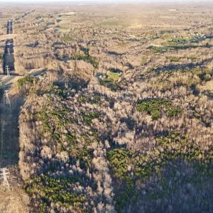 Photo #31 of SOLD property in Off Purcell rd , Reidsville, NC 143.5 acres