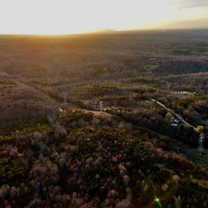 Photo #34 of SOLD property in Off Purcell rd , Reidsville, NC 143.5 acres