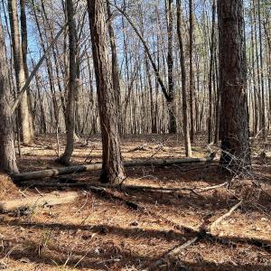 Photo #35 of SOLD property in Off Purcell rd , Reidsville, NC 143.5 acres