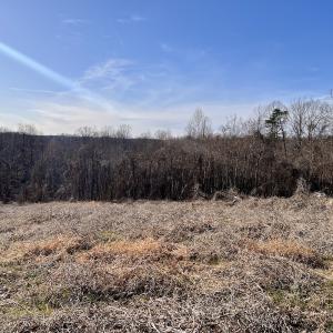 Photo #36 of SOLD property in Off Purcell rd , Reidsville, NC 143.5 acres