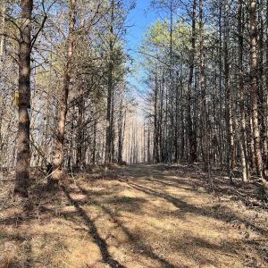 Photo #37 of SOLD property in Off Purcell rd , Reidsville, NC 143.5 acres