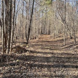 Photo #38 of SOLD property in Off Purcell rd , Reidsville, NC 143.5 acres