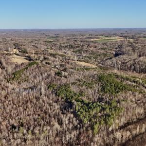 Photo #39 of SOLD property in Off Purcell rd , Reidsville, NC 143.5 acres