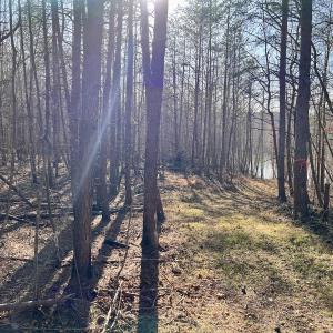 Photo #40 of SOLD property in Off Purcell rd , Reidsville, NC 143.5 acres