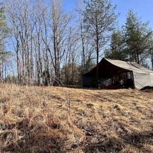 Photo #6 of SOLD property in Off Purcell rd , Reidsville, NC 143.5 acres
