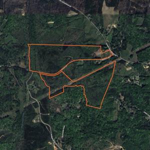Photo #47 of SOLD property in Off Purcell rd , Reidsville, NC 143.5 acres