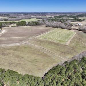 Photo #11 of 7725 Swift Creek School Road, Whitakers, NC 210.0 acres
