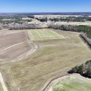 Photo #12 of 7725 Swift Creek School Road, Whitakers, NC 210.0 acres