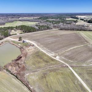 Photo #13 of 7725 Swift Creek School Road, Whitakers, NC 210.0 acres