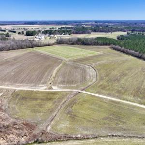Photo #14 of 7725 Swift Creek School Road, Whitakers, NC 210.0 acres