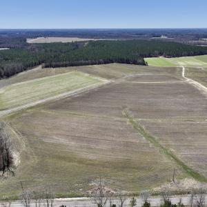 Photo #1 of 7725 Swift Creek School Road, Whitakers, NC 210.0 acres