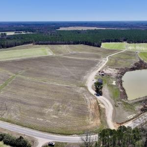 Photo #21 of 7725 Swift Creek School Road, Whitakers, NC 210.0 acres