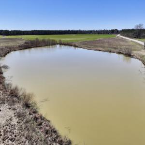 Photo #23 of 7725 Swift Creek School Road, Whitakers, NC 210.0 acres