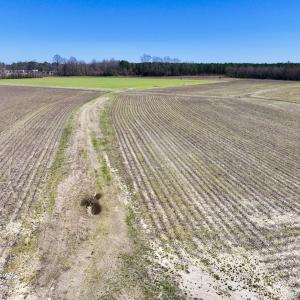 Photo #25 of 7725 Swift Creek School Road, Whitakers, NC 210.0 acres