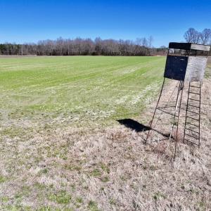 Photo #26 of 7725 Swift Creek School Road, Whitakers, NC 210.0 acres