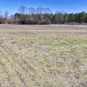 Photo #27 of 7725 Swift Creek School Road, Whitakers, NC 210.0 acres