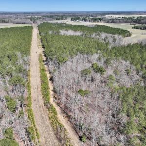 Photo #28 of 7725 Swift Creek School Road, Whitakers, NC 210.0 acres