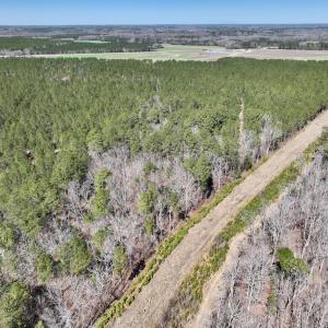 Photo #29 of 7725 Swift Creek School Road, Whitakers, NC 210.0 acres