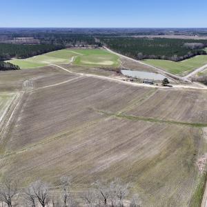 Photo #3 of 7725 Swift Creek School Road, Whitakers, NC 210.0 acres