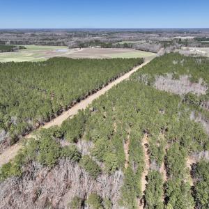 Photo #30 of 7725 Swift Creek School Road, Whitakers, NC 210.0 acres