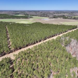 Photo #31 of 7725 Swift Creek School Road, Whitakers, NC 210.0 acres