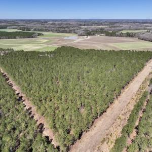 Photo #32 of 7725 Swift Creek School Road, Whitakers, NC 210.0 acres