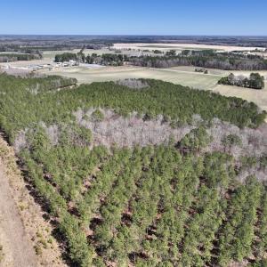 Photo #33 of 7725 Swift Creek School Road, Whitakers, NC 210.0 acres