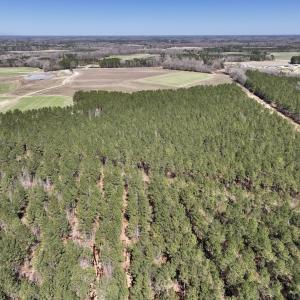 Photo #34 of 7725 Swift Creek School Road, Whitakers, NC 210.0 acres