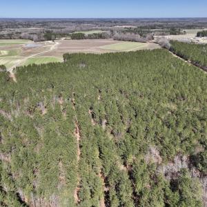 Photo #36 of 7725 Swift Creek School Road, Whitakers, NC 210.0 acres