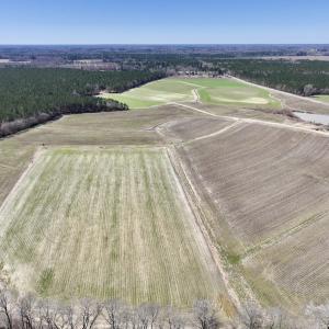 Photo #4 of 7725 Swift Creek School Road, Whitakers, NC 210.0 acres