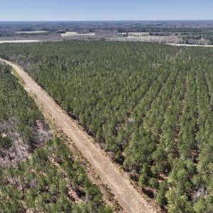 Photo #40 of 7725 Swift Creek School Road, Whitakers, NC 210.0 acres