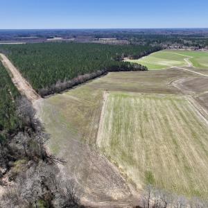 Photo #5 of 7725 Swift Creek School Road, Whitakers, NC 210.0 acres