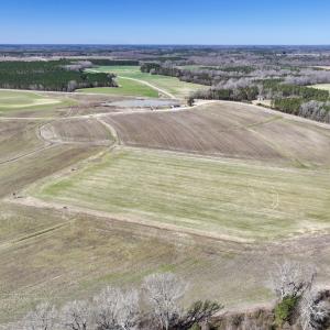 Photo #7 of 7725 Swift Creek School Road, Whitakers, NC 210.0 acres