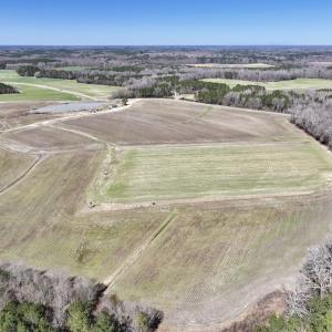 Photo #8 of 7725 Swift Creek School Road, Whitakers, NC 210.0 acres