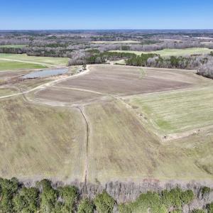 Photo #9 of 7725 Swift Creek School Road, Whitakers, NC 210.0 acres