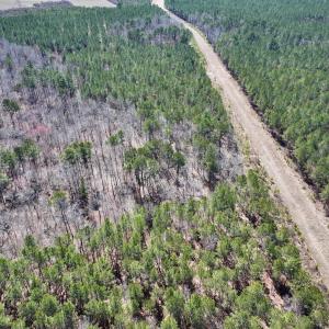 Photo #41 of 7725 Swift Creek School Road, Whitakers, NC 210.0 acres