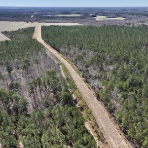 Photo #42 of 7725 Swift Creek School Road, Whitakers, NC 210.0 acres