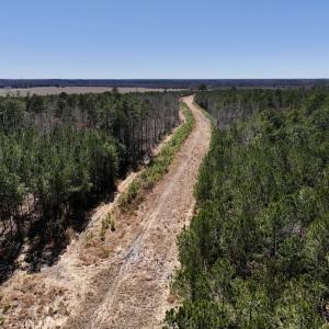 Photo #43 of 7725 Swift Creek School Road, Whitakers, NC 210.0 acres