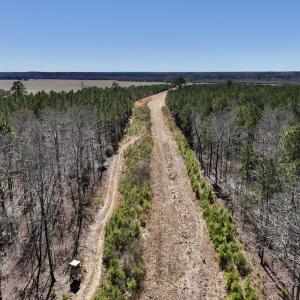 Photo #45 of 7725 Swift Creek School Road, Whitakers, NC 210.0 acres