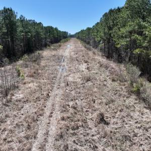 Photo #46 of 7725 Swift Creek School Road, Whitakers, NC 210.0 acres