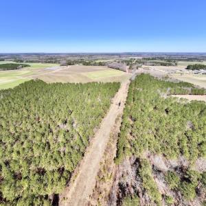 Photo #47 of 7725 Swift Creek School Road, Whitakers, NC 210.0 acres