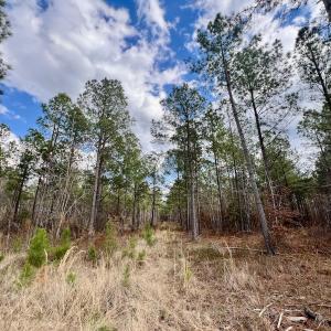 Photo #50 of 7725 Swift Creek School Road, Whitakers, NC 210.0 acres