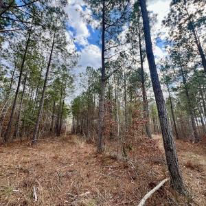Photo #51 of 7725 Swift Creek School Road, Whitakers, NC 210.0 acres