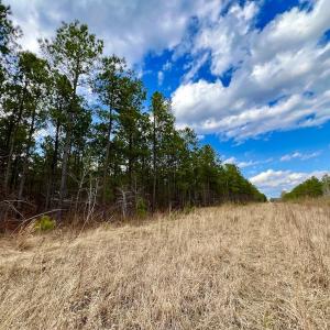 Photo #58 of 7725 Swift Creek School Road, Whitakers, NC 210.0 acres