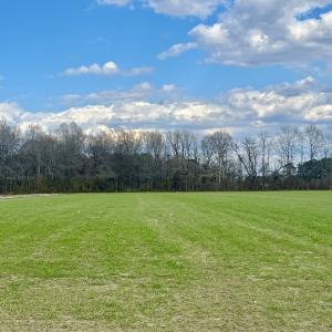 Photo #59 of 7725 Swift Creek School Road, Whitakers, NC 210.0 acres