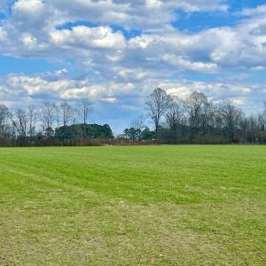 Photo #60 of 7725 Swift Creek School Road, Whitakers, NC 210.0 acres