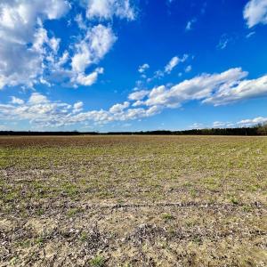 Photo #61 of 7725 Swift Creek School Road, Whitakers, NC 210.0 acres