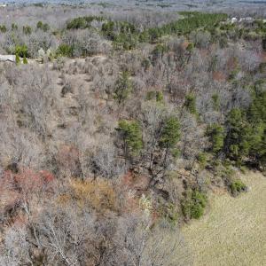 Photo #7 of Off Goodman Road, Lot-2, Pelham, NC 2.6 acres