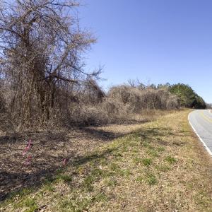 Photo #12 of Off Goodman Road, Lot-2, Pelham, NC 2.6 acres
